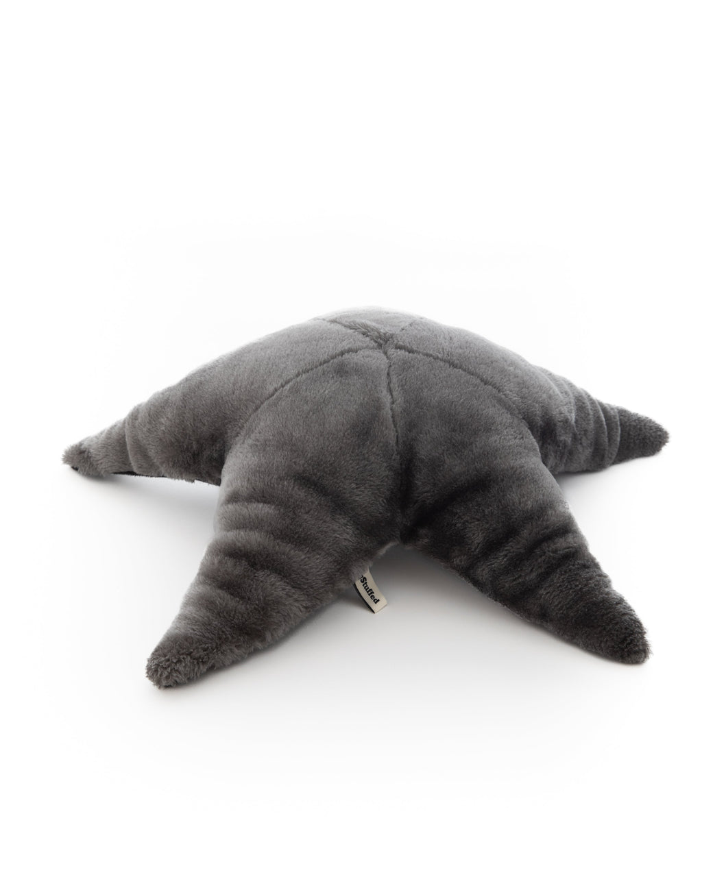 The Starfish