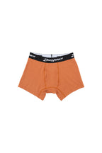 Boxer Brief