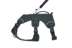 Web Master™ Dog Harness with Handle