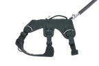 Web Master™ Dog Harness with Handle