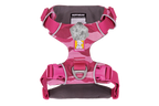 Front Range® Harness