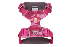 Front Range® Harness