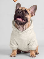 Camo Paw Hoodie
