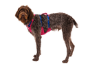 Flagline™ Dog Harness with Handle