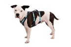 Flagline™ Dog Harness with Handle