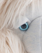 The Yeti