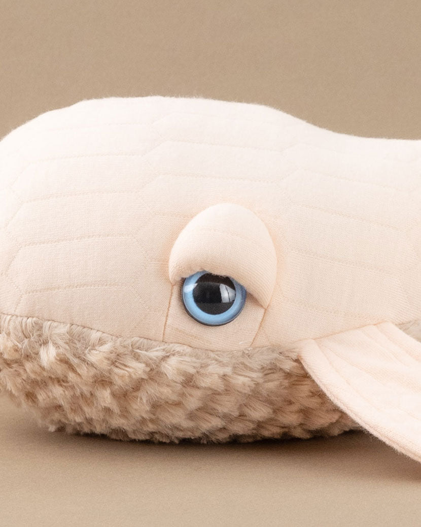 The Mini Whale
