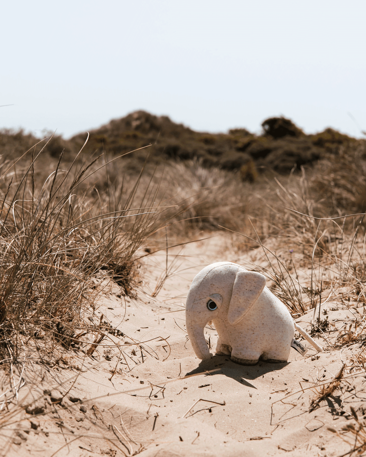 The Mini Elephant