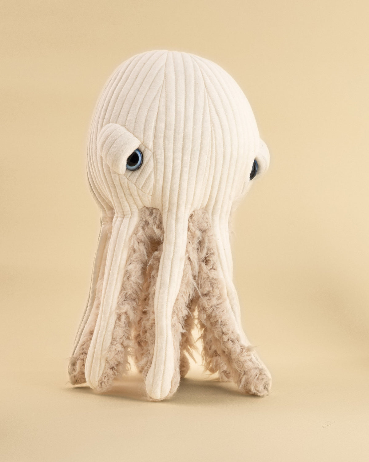 The Mini Octopus
