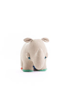 The Rhino