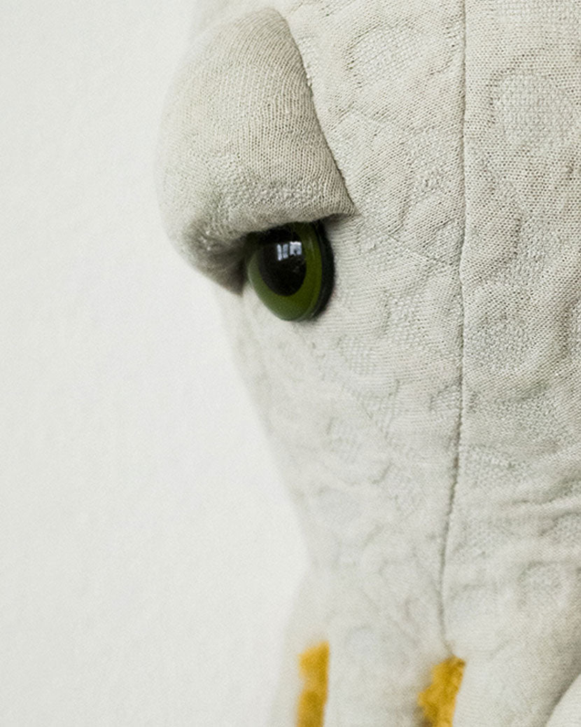 The Octopus