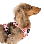 Strawberry Fields: Adjustable Harness