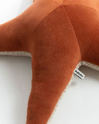 The Starfish