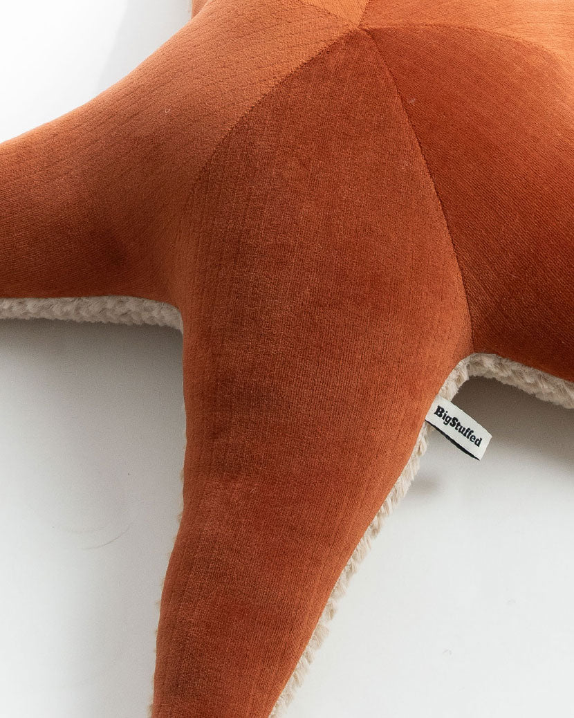 The Starfish