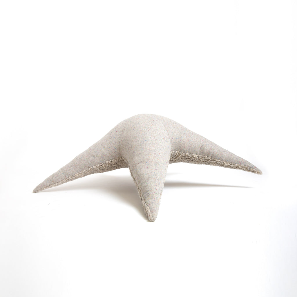 The Starfish