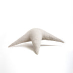 The Starfish