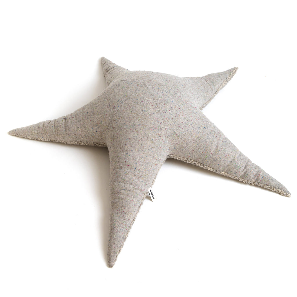 The Starfish
