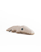 The Mini Crocodile