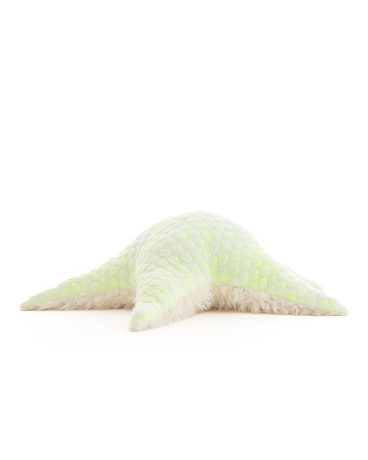The Starfish