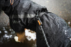 Trekking dog raincoat