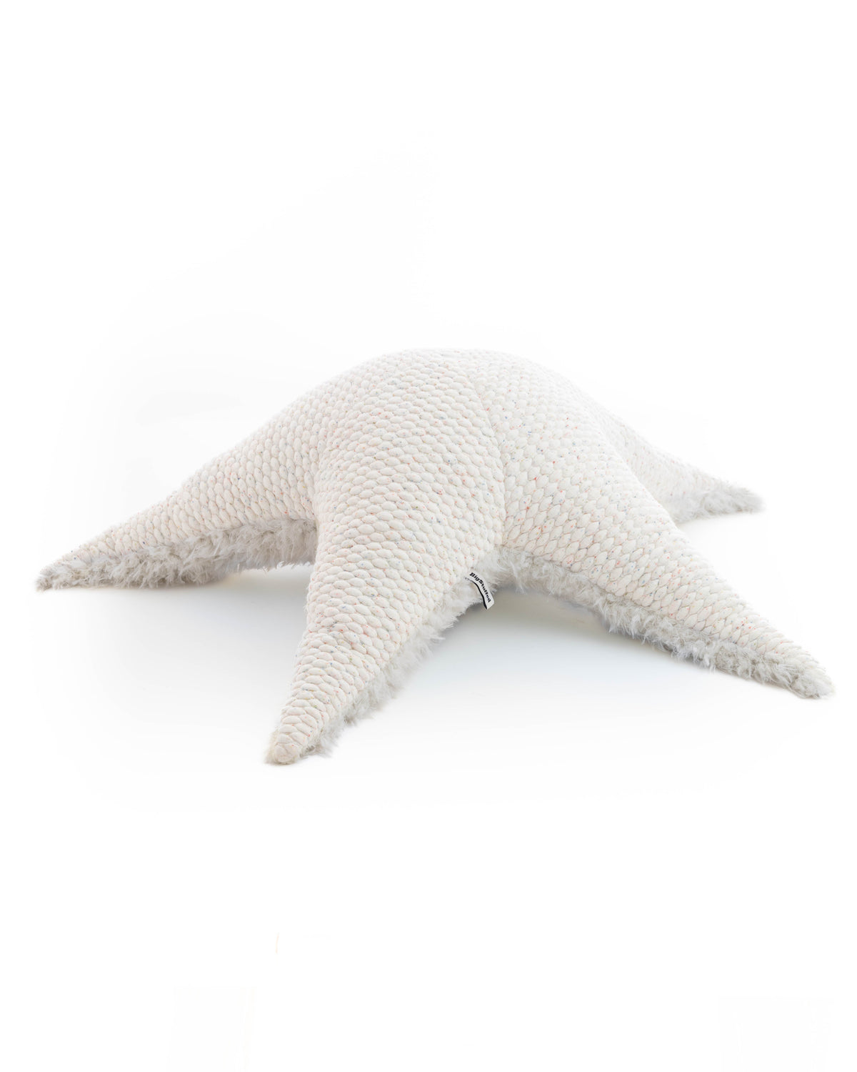 The Starfish