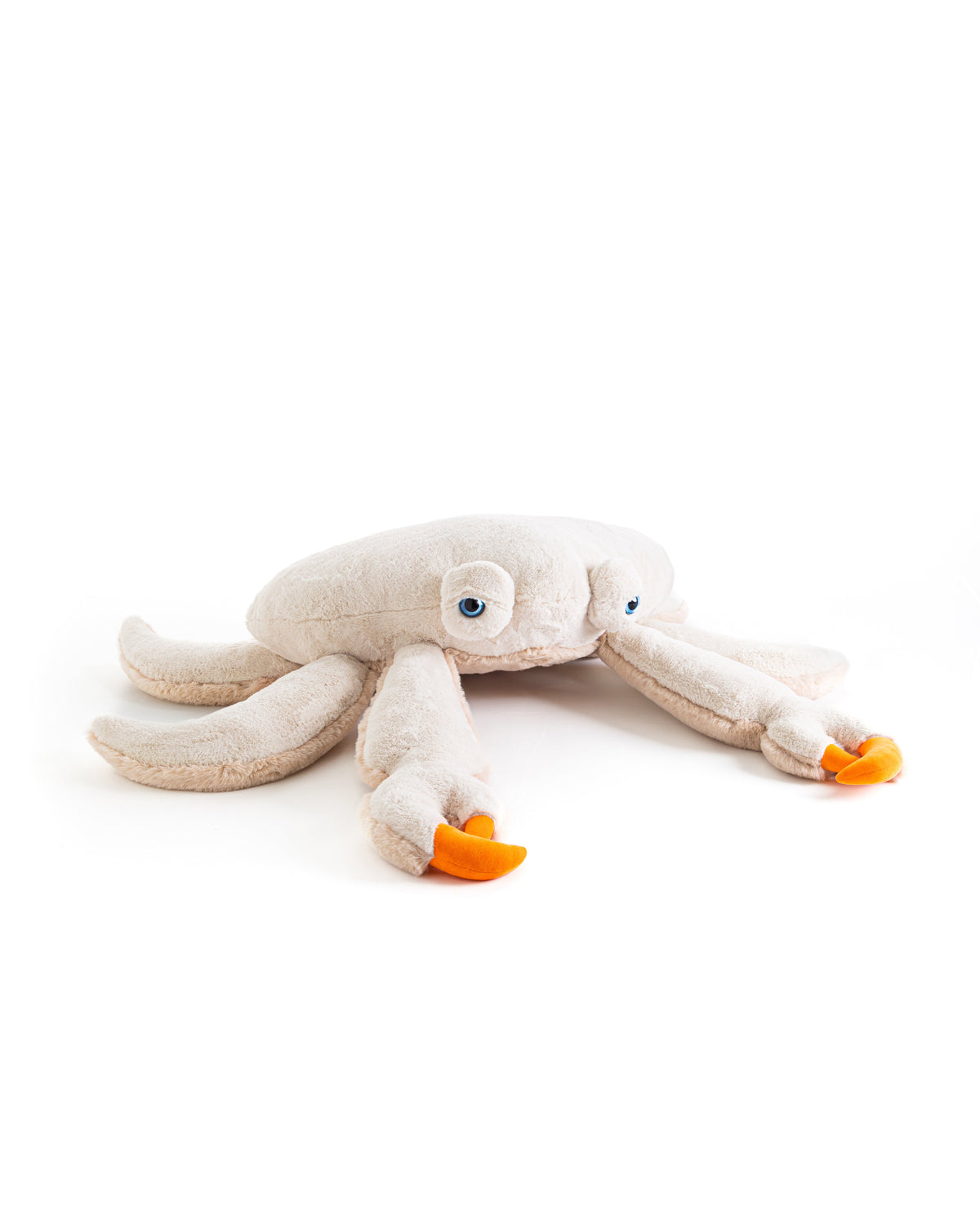 The Crab