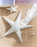 The Starfish