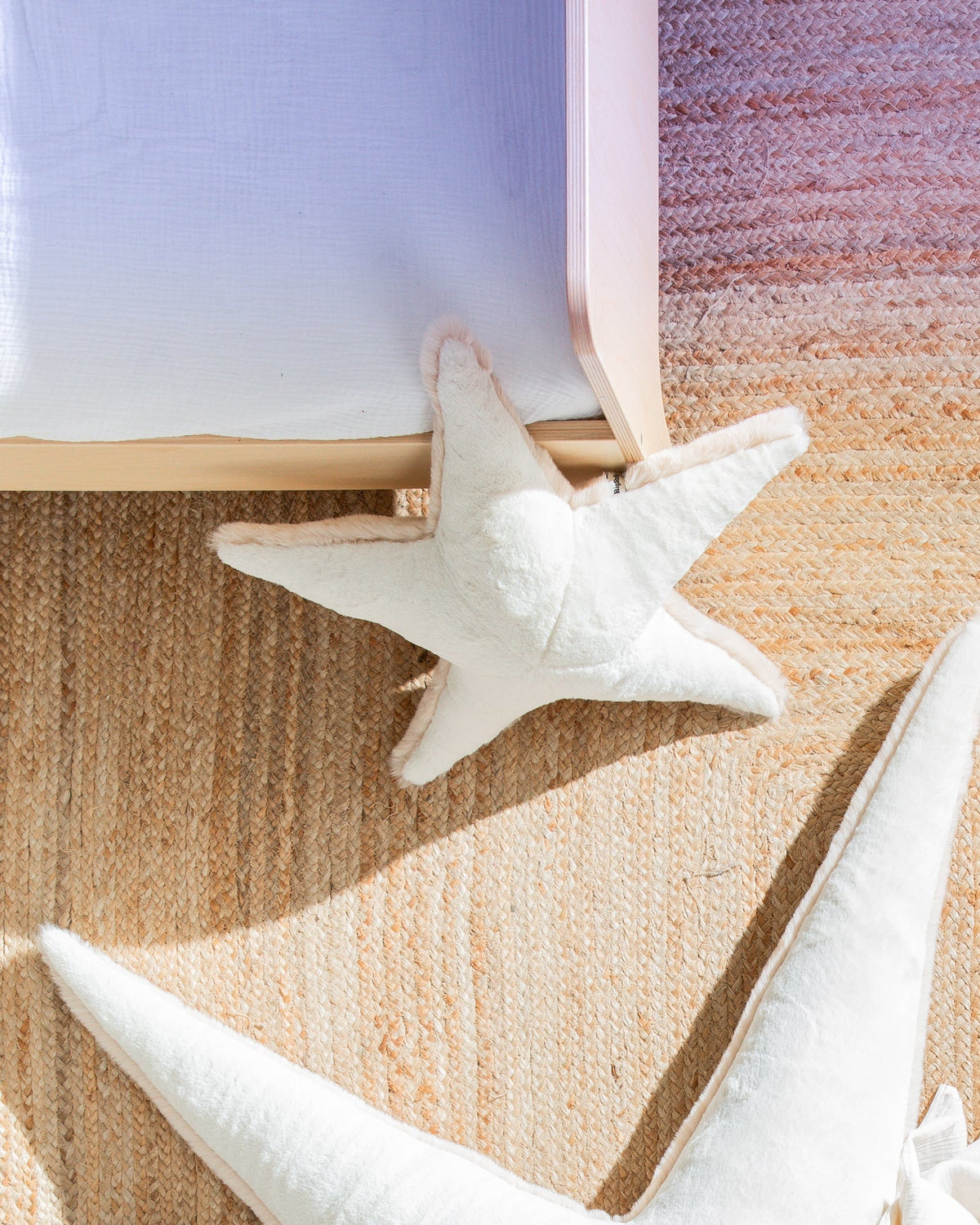 The Starfish