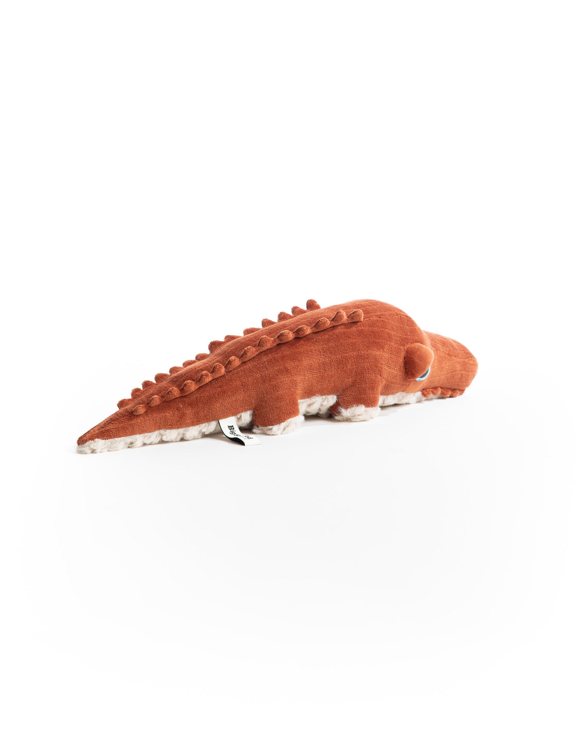 The Mini Crocodile