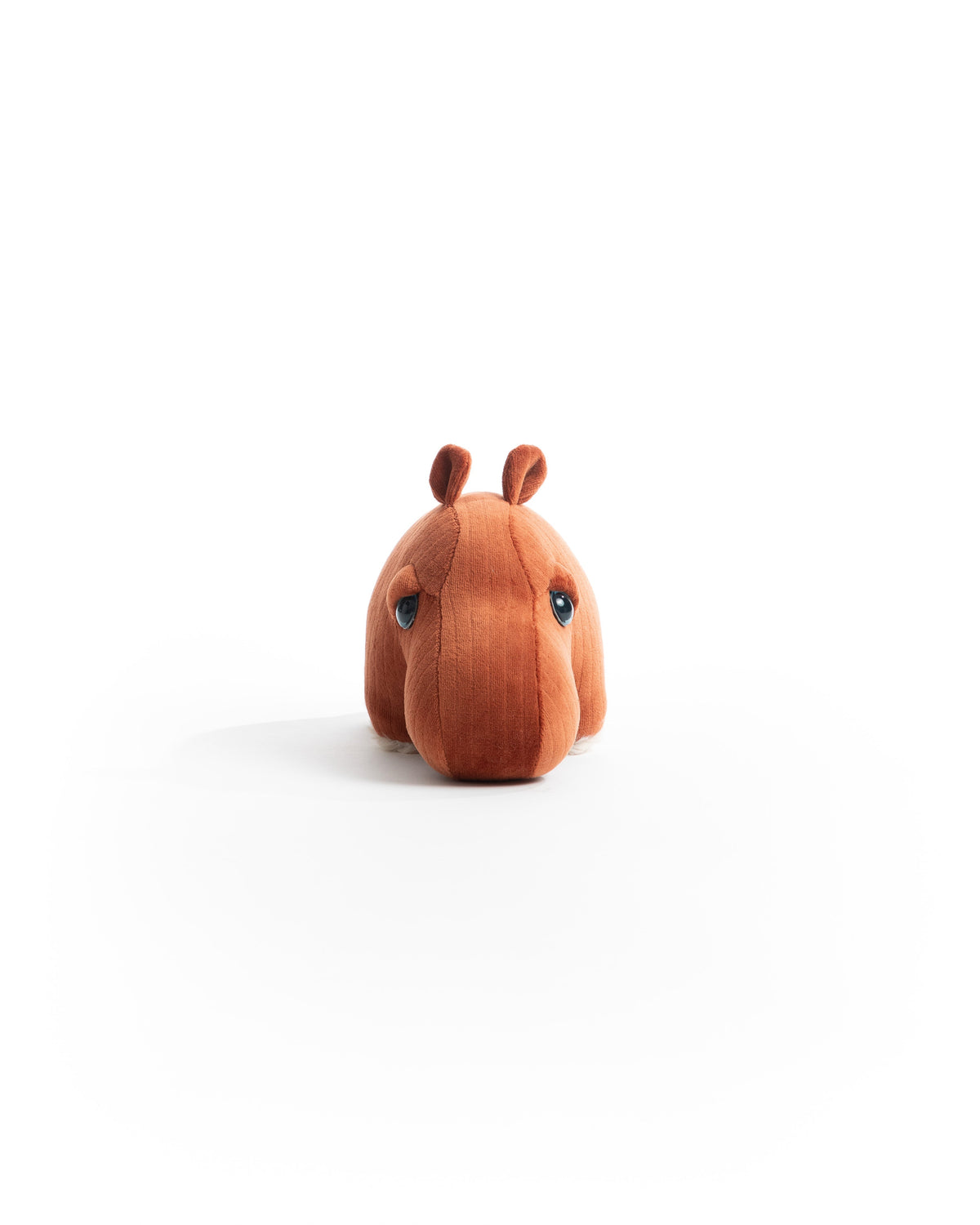 The Mini Hippo
