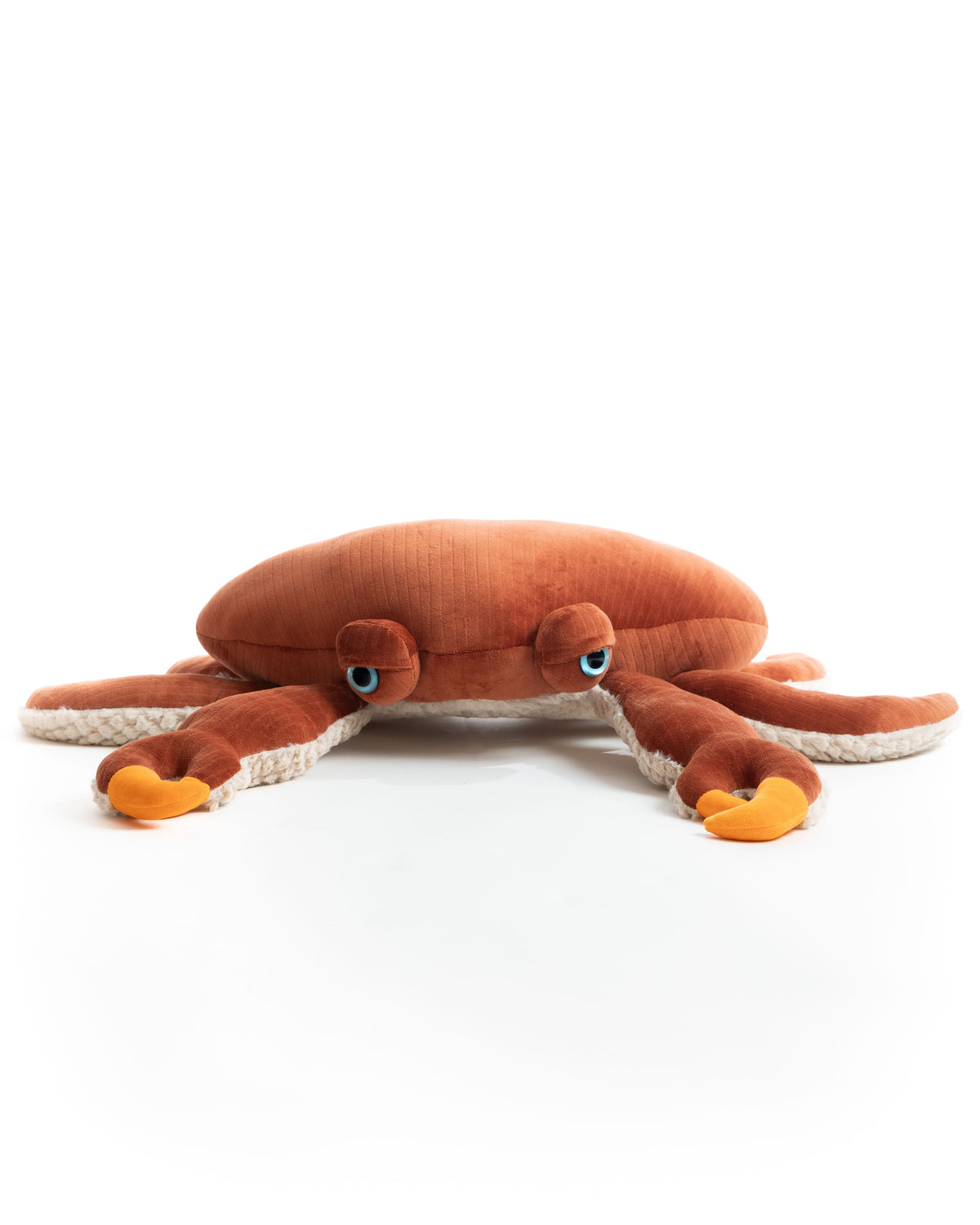 The Crab