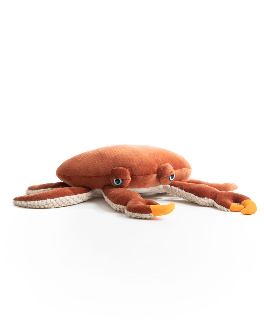 The Crab