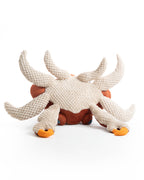 The Crab