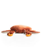 The Crab