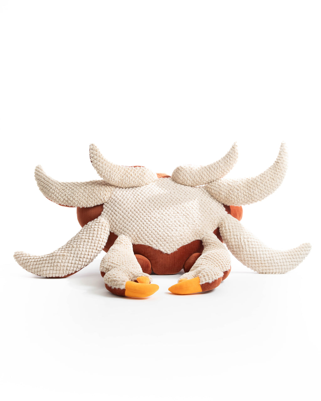 The Crab