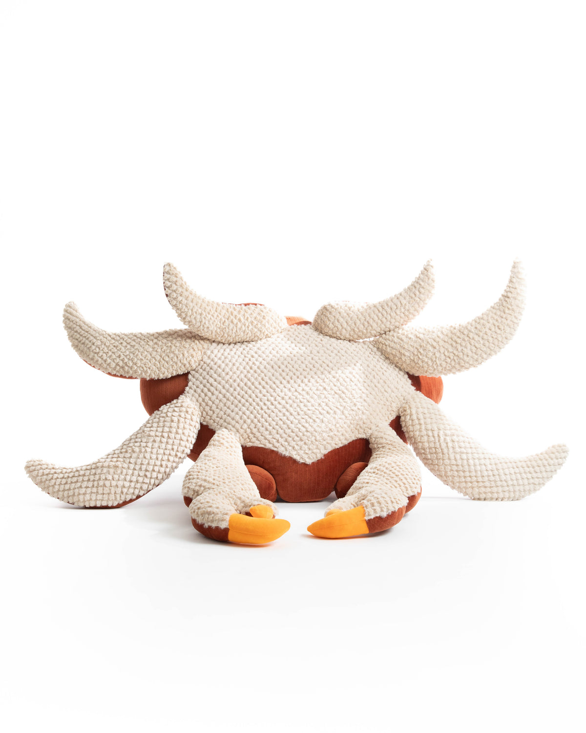 The Crab