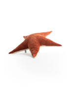 The Starfish