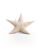 The Starfish