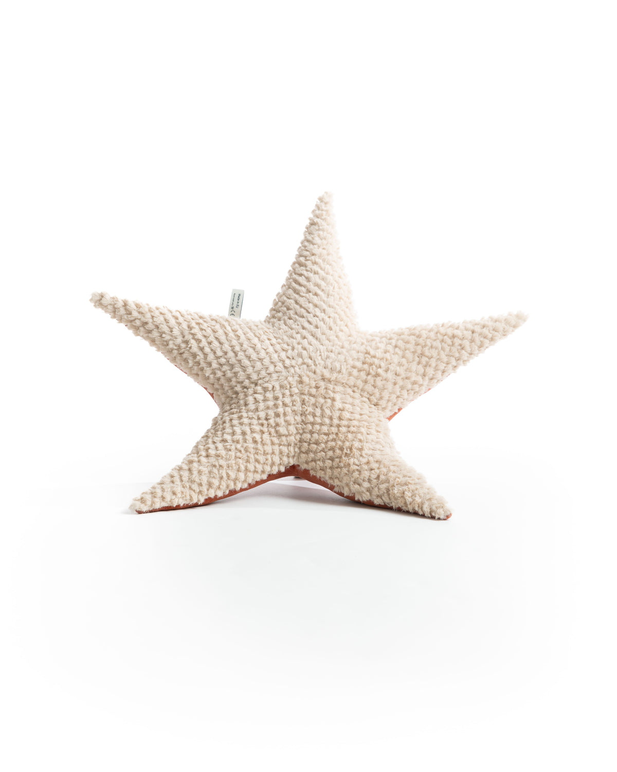 The Starfish