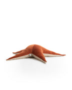 The Starfish