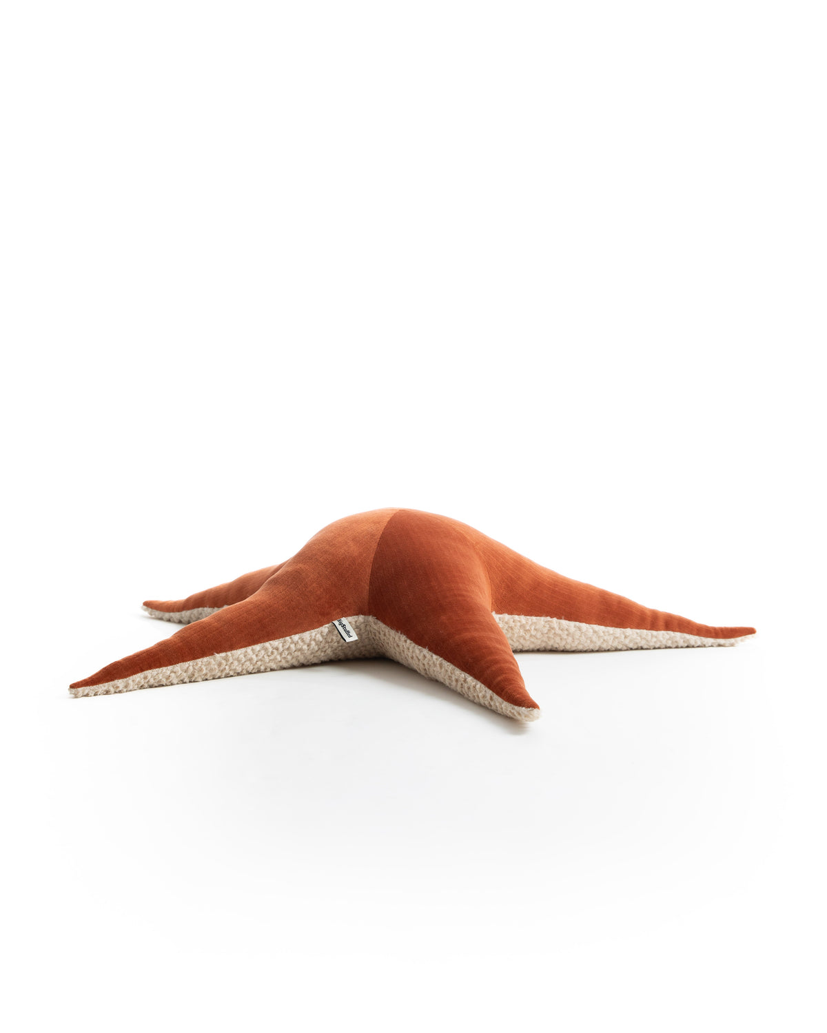 The Starfish