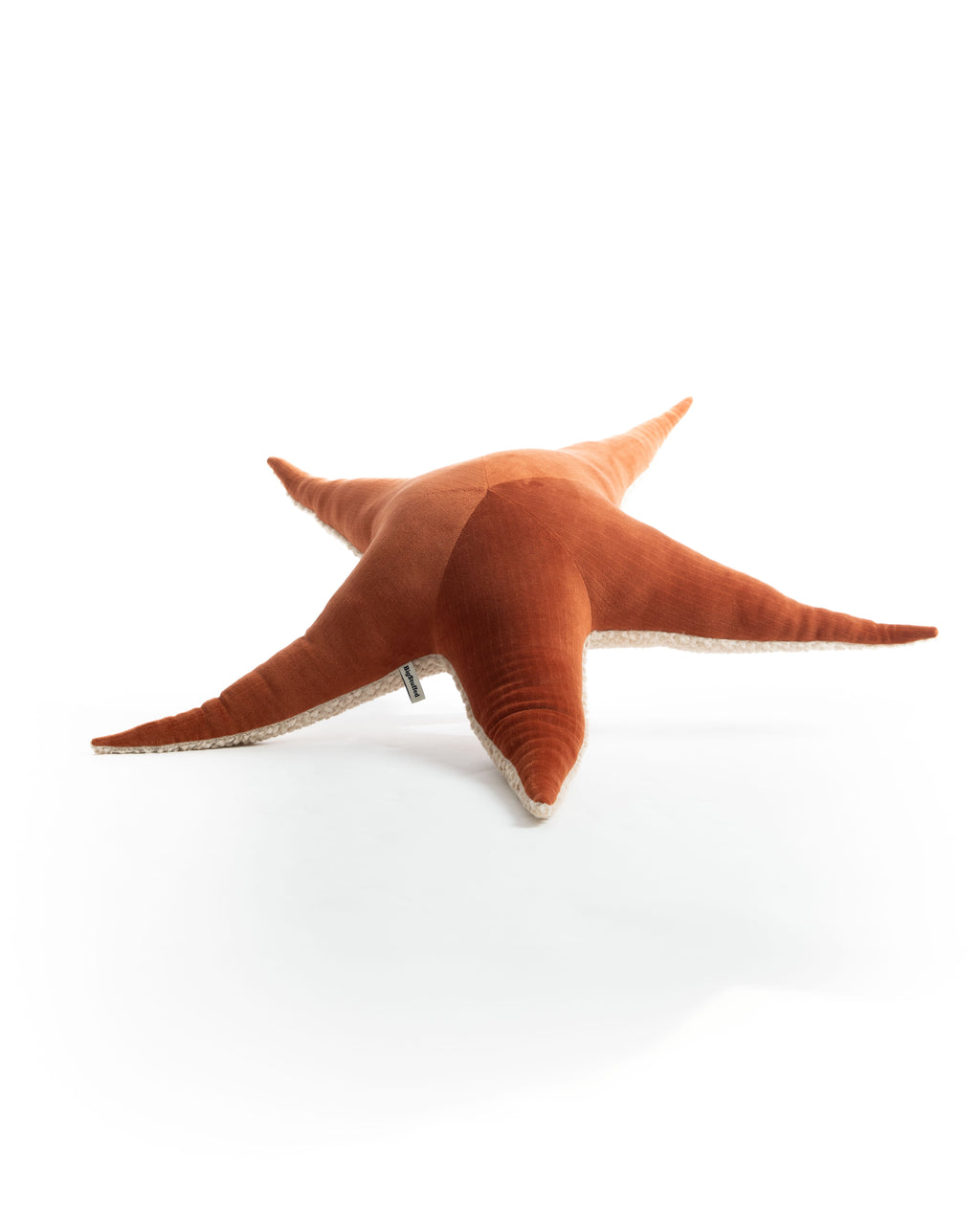 The Starfish