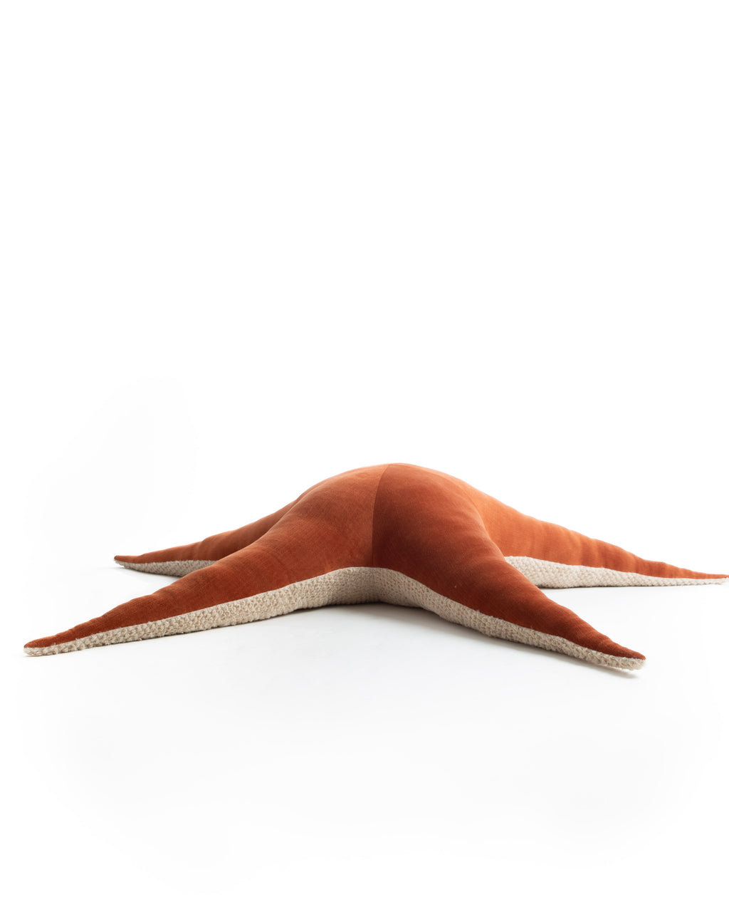 The Starfish