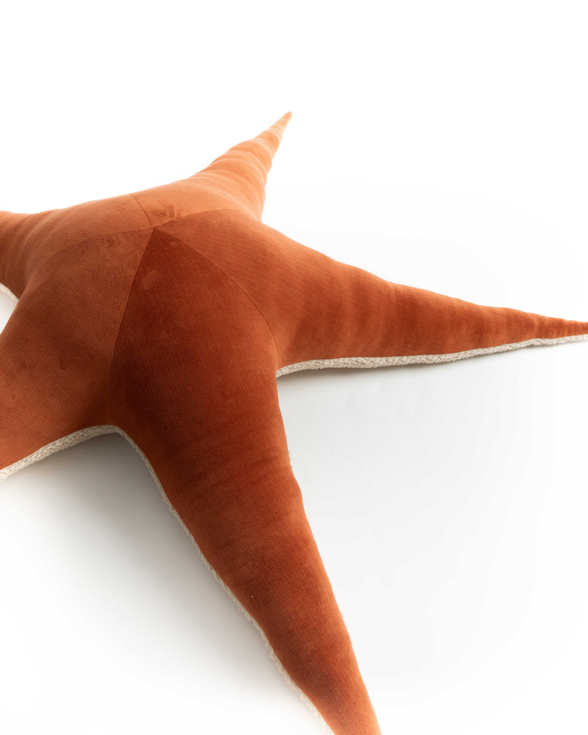 The Starfish