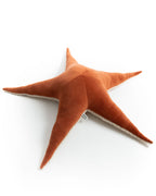 The Starfish
