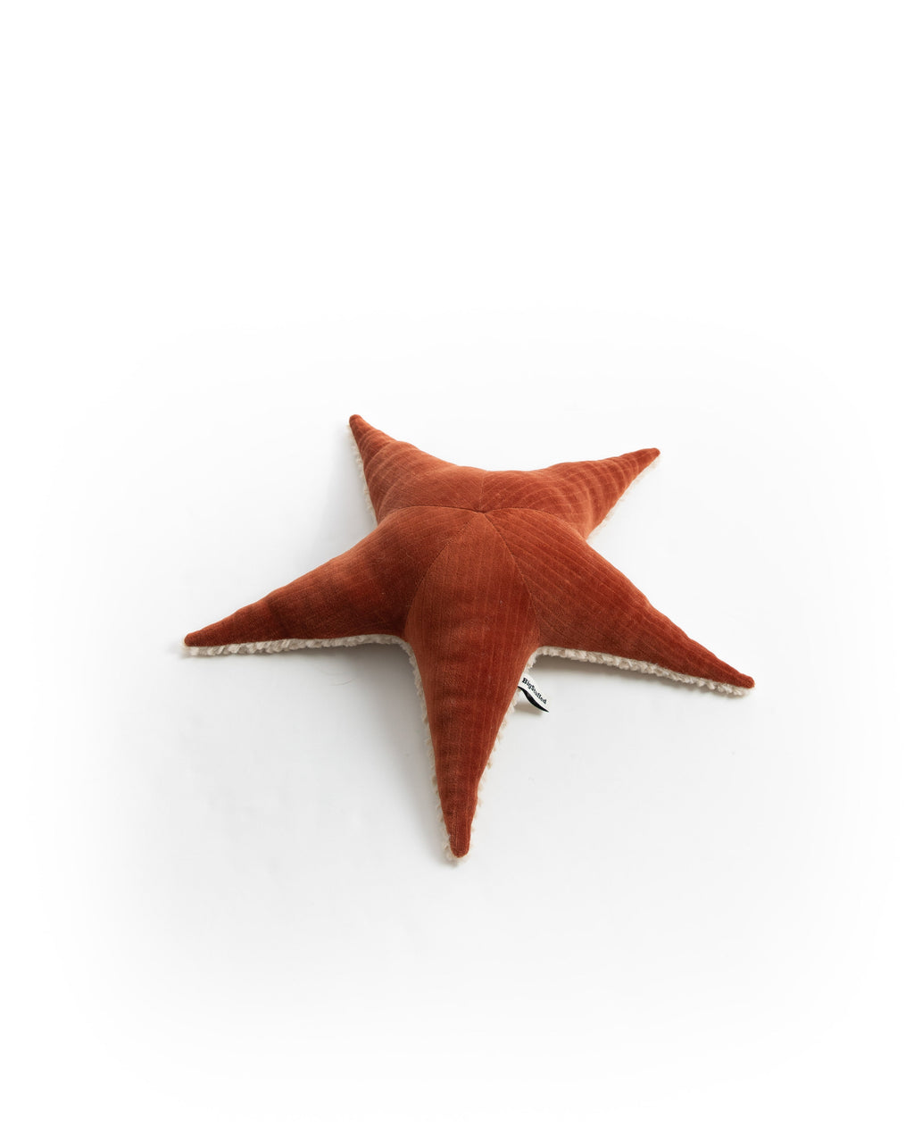 The Starfish