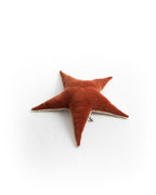 The Starfish