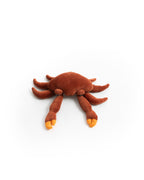 The Mini Crab