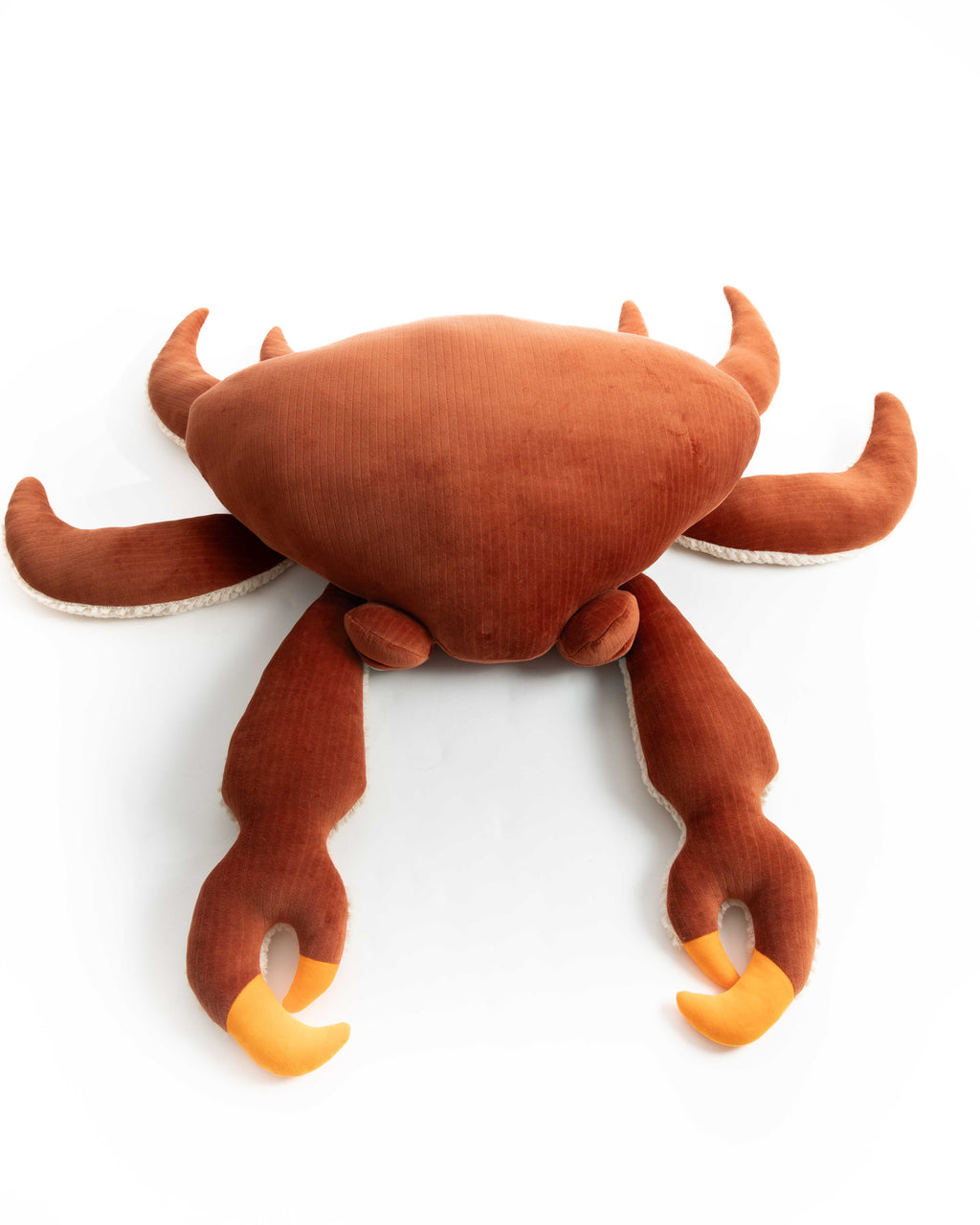 The Crab