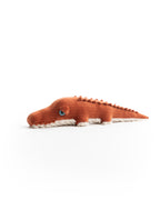 The Mini Crocodile